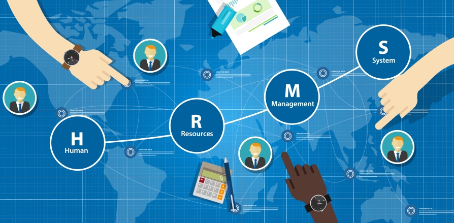 Understand how HR management software can be good for your business